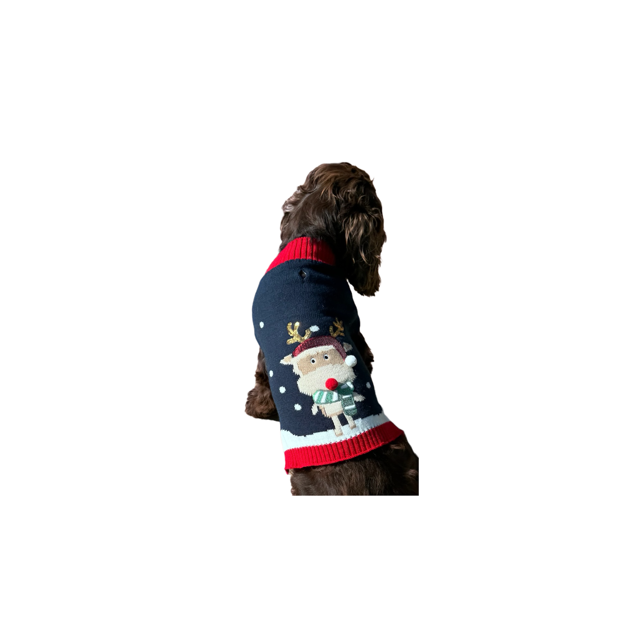 Voir la diapositive 2 : MON AMI LUKI Pull noel gris-pour chien- deguisement tricote - festif