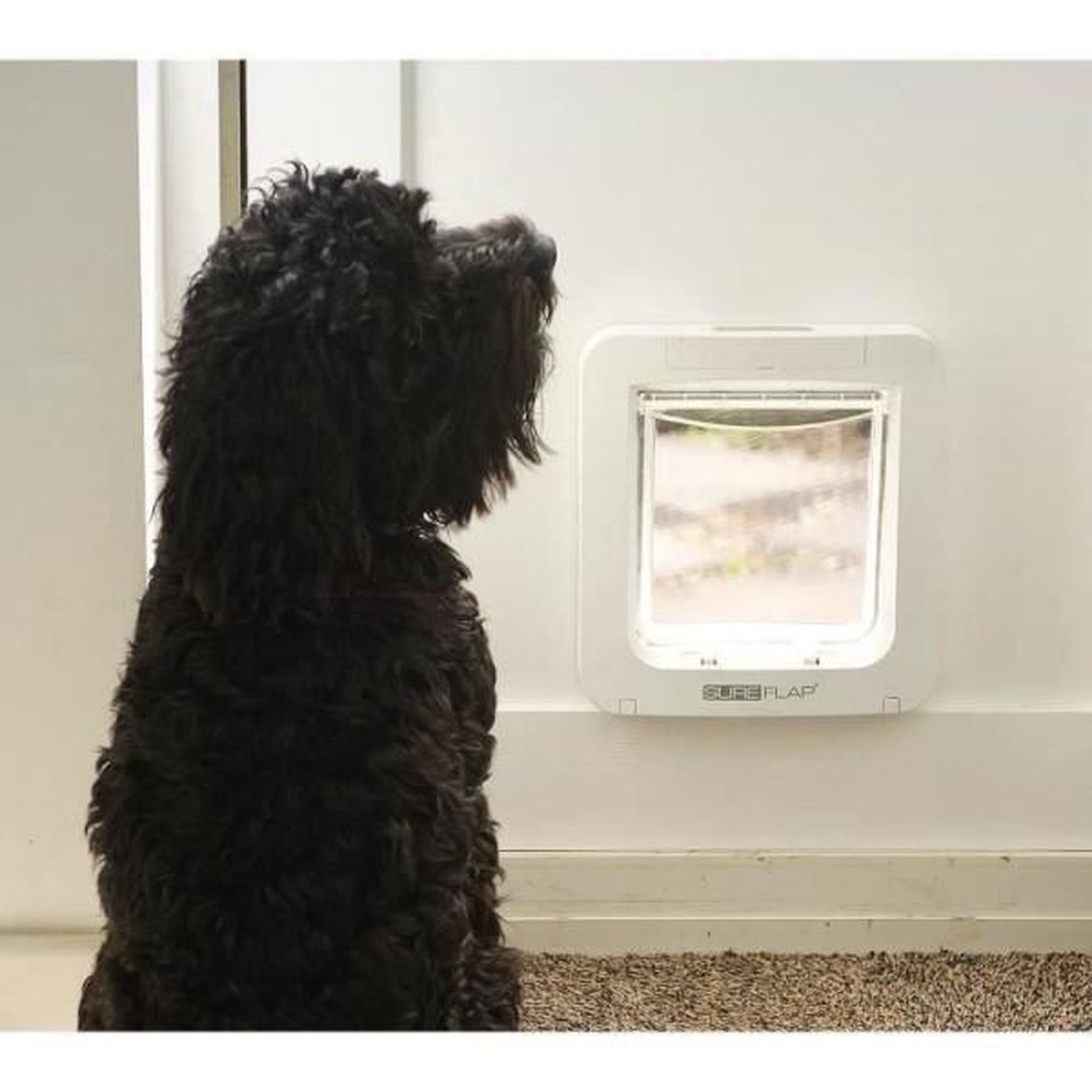 Voir la diapositive 3 : Pet Safe SUREFLAP Grande chatiere a puce électronique - Blanc - 178 mm x 170 mm (Mémorisation d'un maximum de 32 puces)