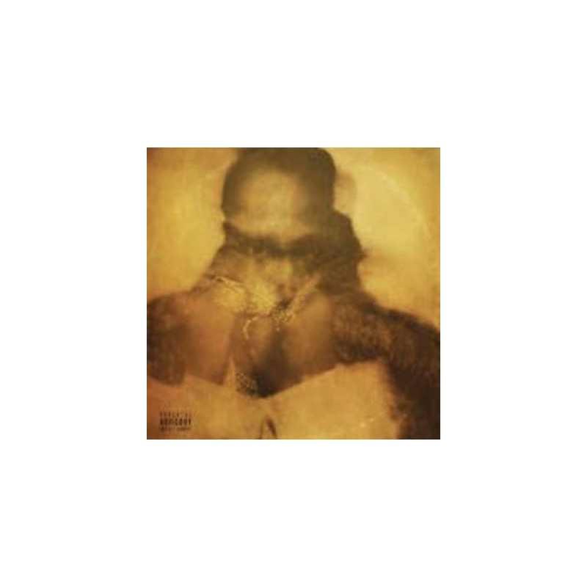 Double album vinyle 2 lp future – future