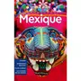  MEXIQUE. 14 EDITION. AVEC 1 PLAN DETACHABLE, Lonely Planet