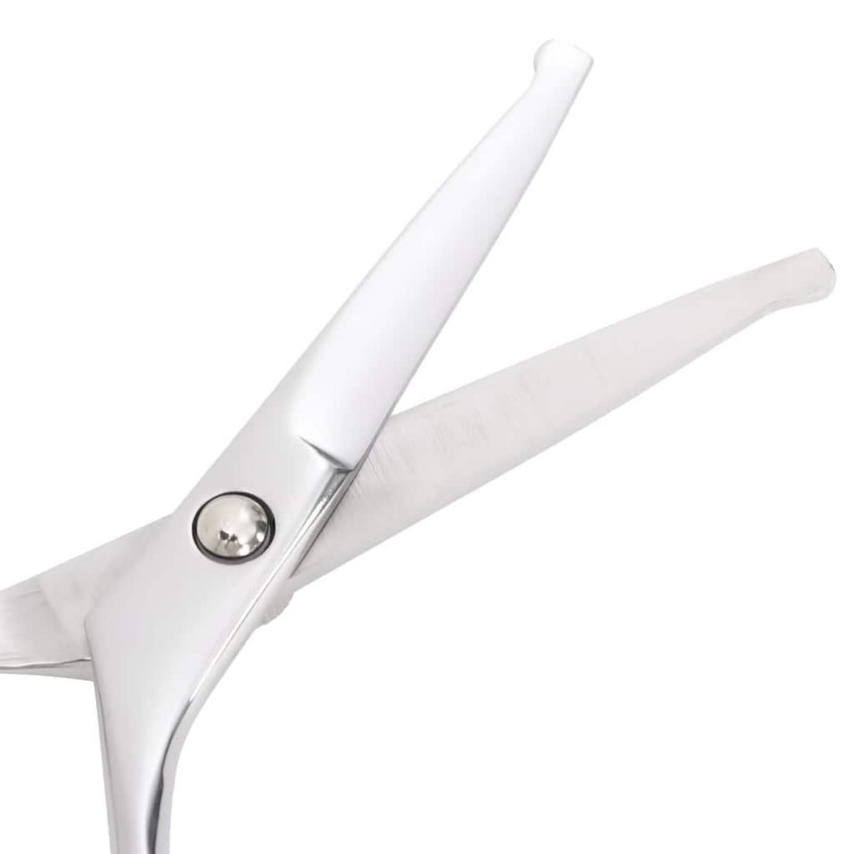 VIDAXL Ensemble de ciseaux de toilettage pour chien 4 pcs