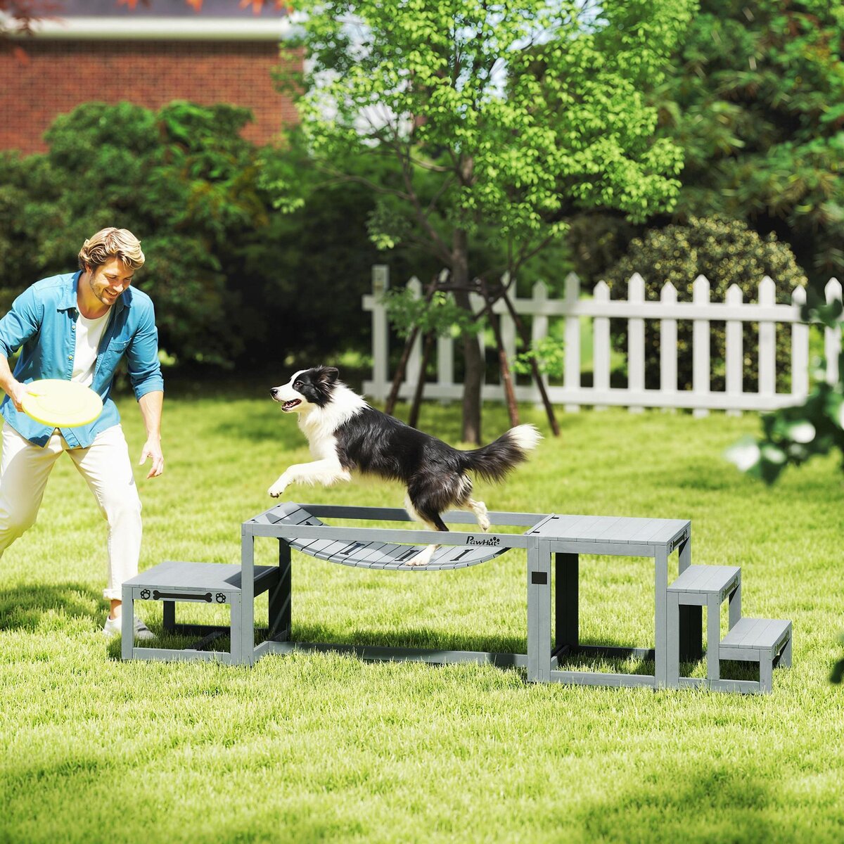 PAWHUT Passerelle agility chiens - Passerelle pour parcours canins d'Agility - bois de sapin gris