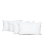 OLYMPE LITERIE OLYMPE LITERIE | Lot de 4 oreillers NATURA | Duvet & Plumess. Coloris disponibles : Blanc