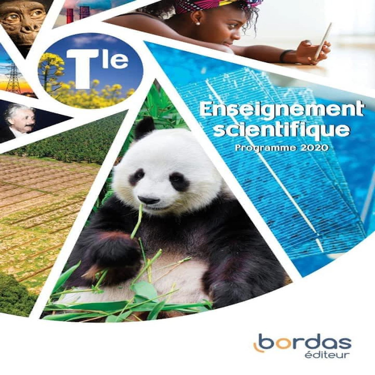 ENSEIGNEMENT SCIENTIFIQUE TLE. EDITION 2020, Bordas