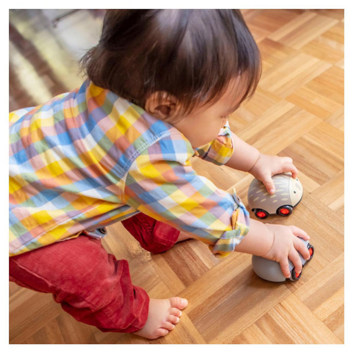 TIGER TRIBE Zoomies Vehicule a friction - Animaux Australiens