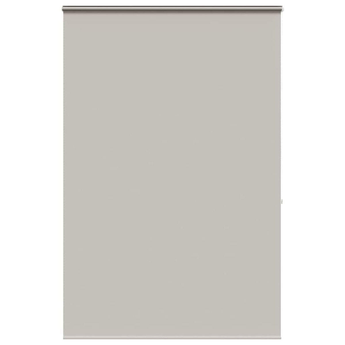 VIDAXL Store enrouleur de douche avec cassette largeur du tissu 156 cm