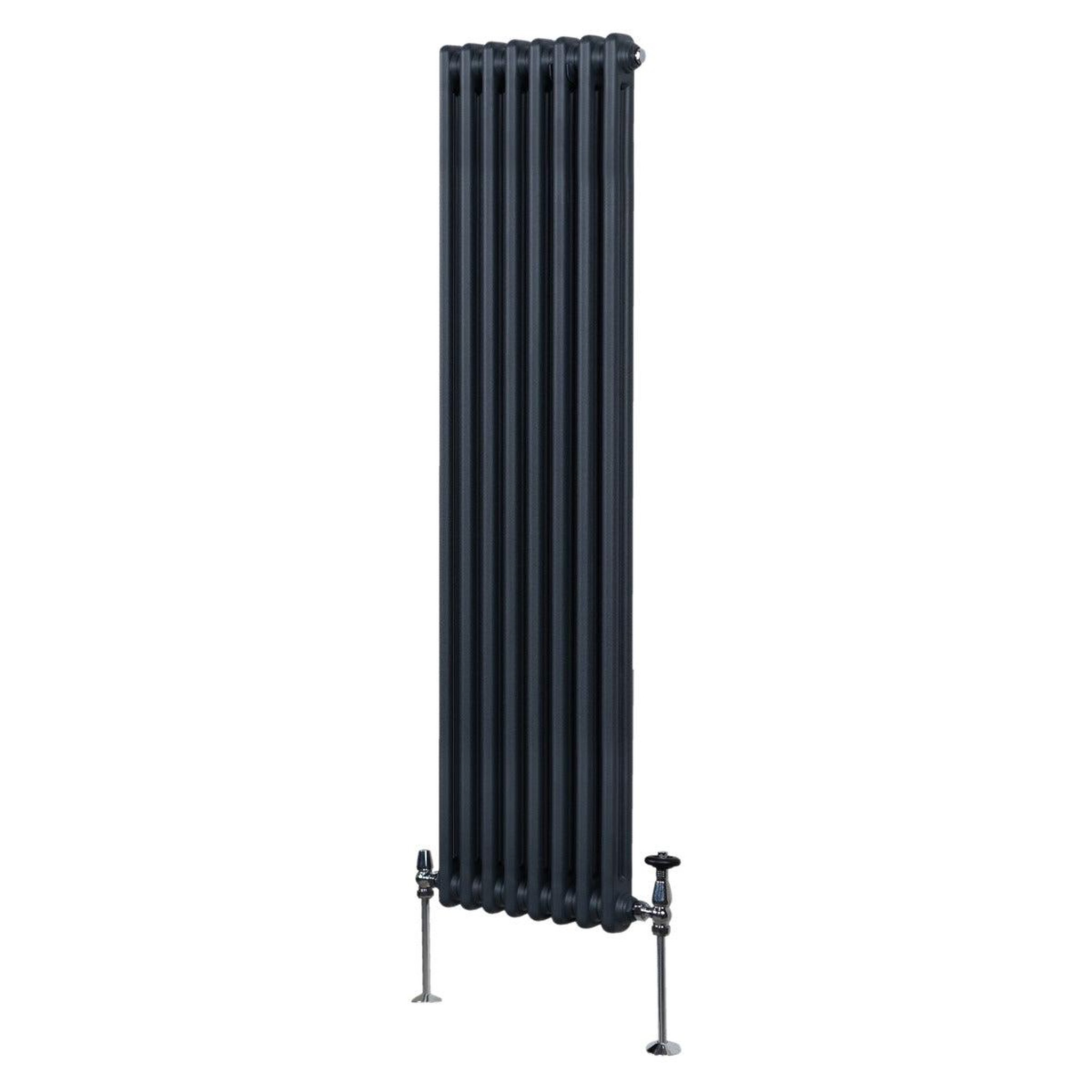 Voir la diapositive 1 : MONSTERSHOP Radiateur traditionnel à 2 colonnes – 1800 x 382 mm