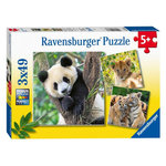 RAVENSBURGER Ravensburger Puzzle Panda, Tiger and Lion, 3x49st. 56668