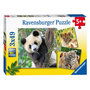 Voir la diapositive 1 : RAVENSBURGER Ravensburger Puzzle Panda, Tiger and Lion, 3x49st. 56668