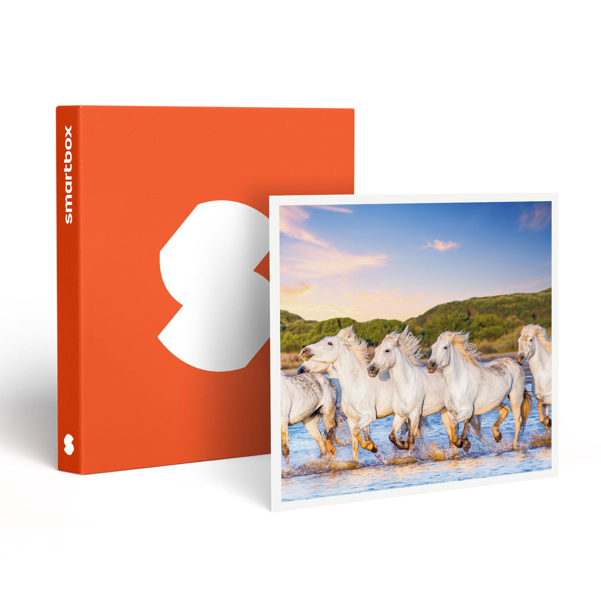 Smartbox Séjour romantique : 2 jours dans un hôtel en camargue - coffret cadeau séjour