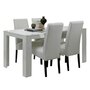 Table L.160 cm. PISA + 4 chaises.
