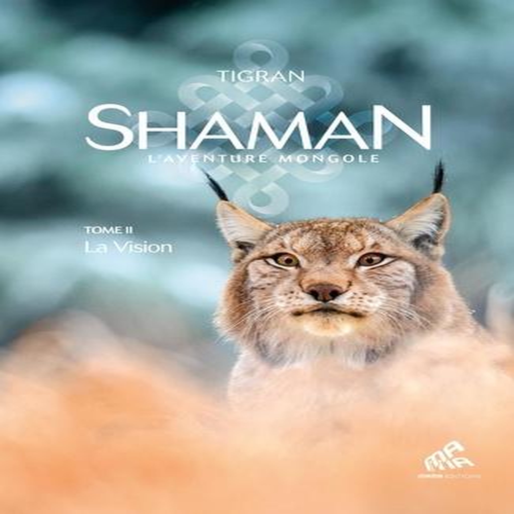 SHAMAN TOME 2 : LA VISION, Tigran