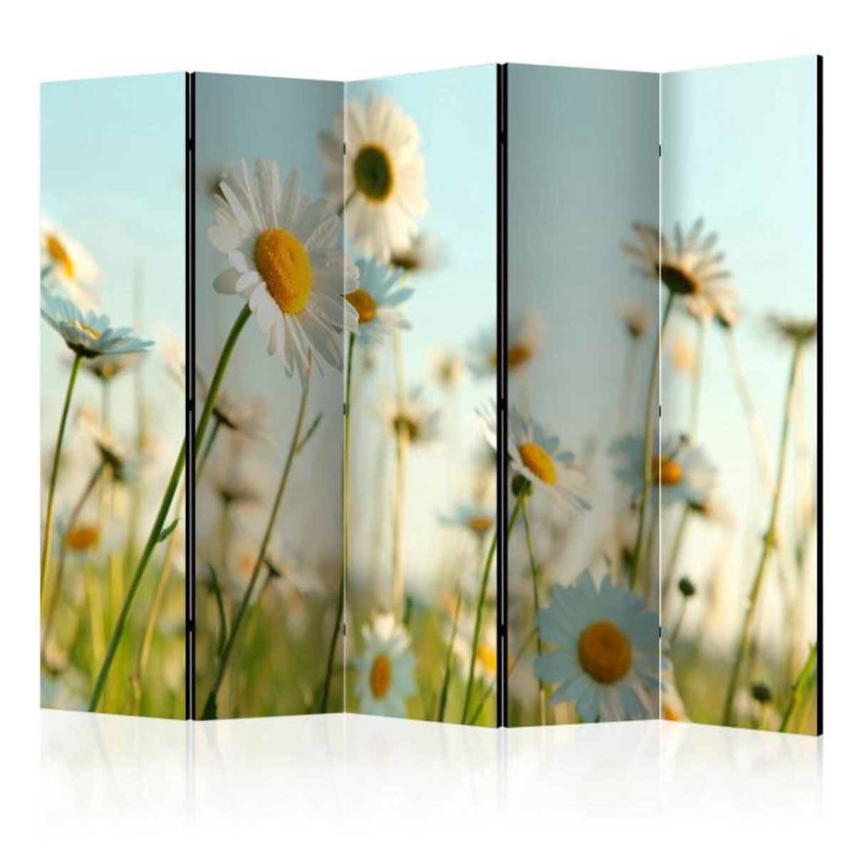 Paris Prix Paravent 5 Volets  Daisies Spring Meadow  172x225cm