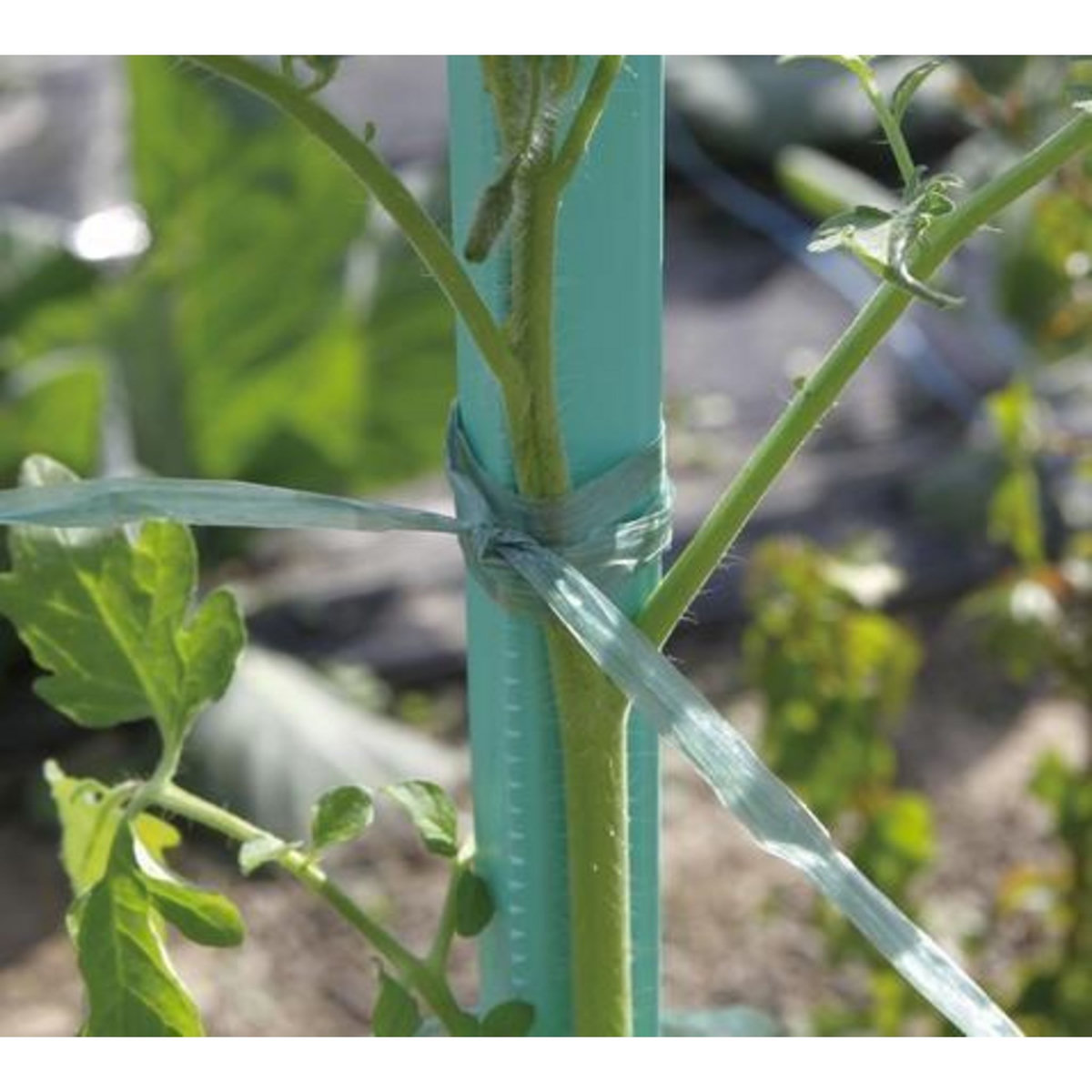 Nortene Raphia synthétique prédécoupé - Vert - 0,5m 200g