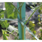 Nortene Raphia synthétique prédécoupé - Vert - 0,5m 200g