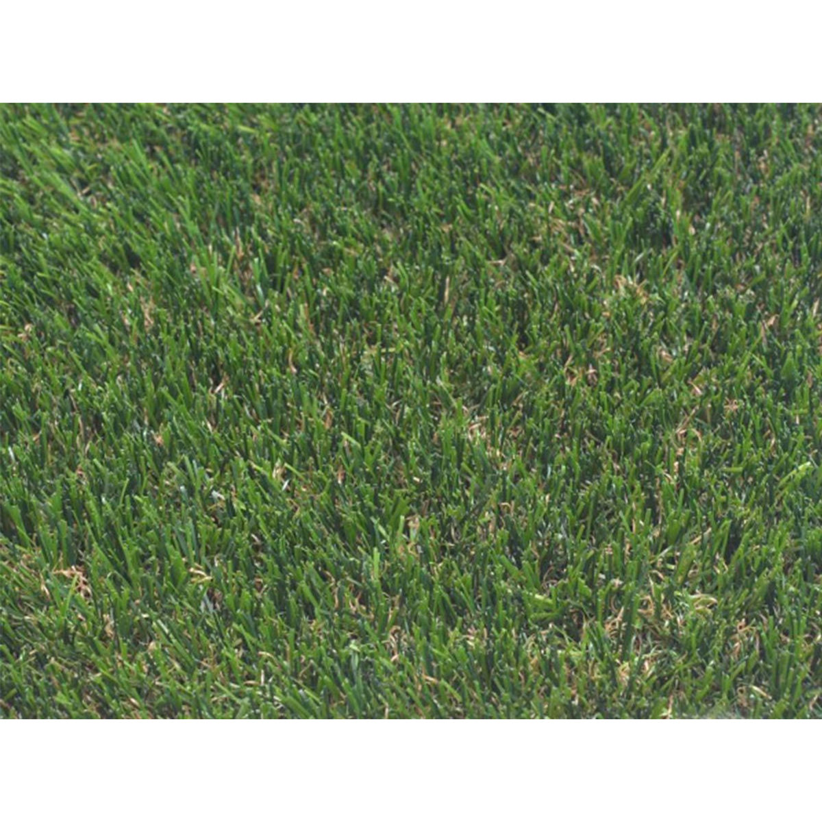 JARDIDECO Gazon synthétique Pelouse 52 mm Liverpool - Largeur 2m x Longueur 1m