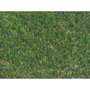 Voir la diapositive 2 : JARDIDECO Gazon synthétique Pelouse 52 mm Liverpool - Largeur 2m x Longueur 1m