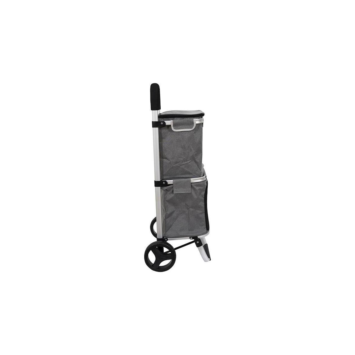 Paris Prix Chariot de Marché 2 Compartiments  Fraîcheur  99cm Gris
