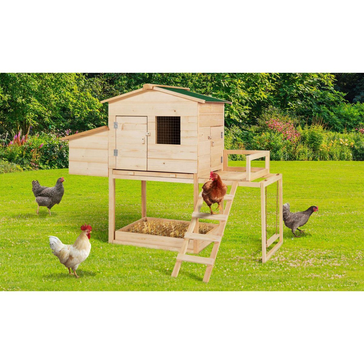 Jardikt Poulailler pondoir evolution