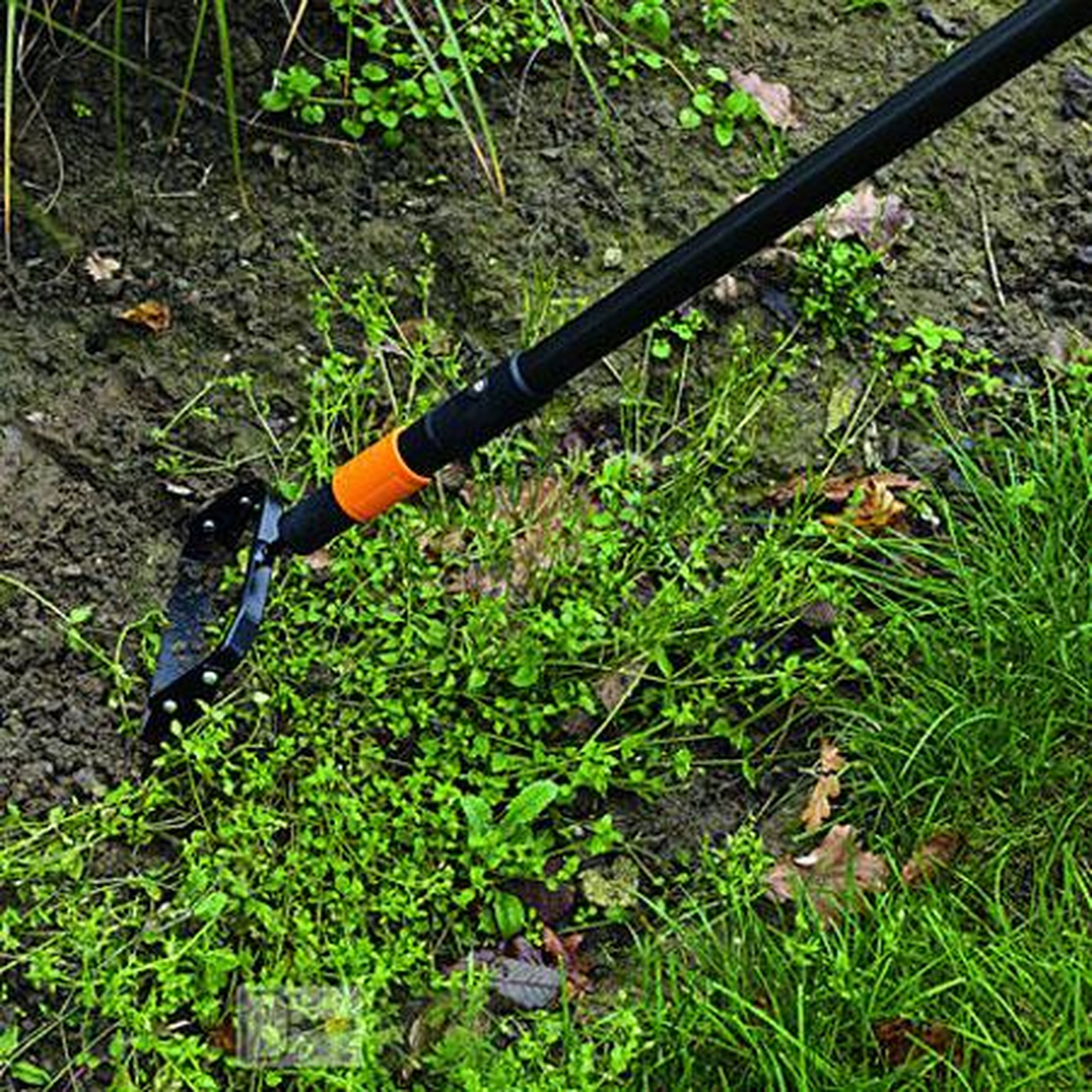 Voir la diapositive 2 : Grattoir de jardin Quikfit