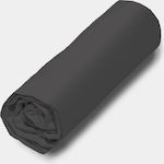 Home collection Drap housse 100% microfibre 82 g/m² - uni magnet. Coloris disponibles : Gris