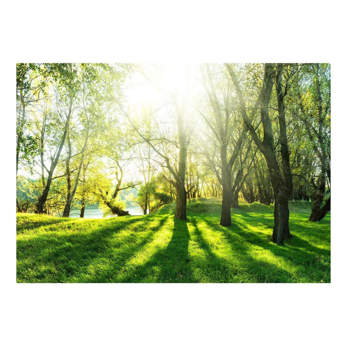 Paris Prix Papier Peint  Sunny May Day