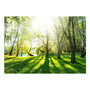 Voir la diapositive 2 : Paris Prix Papier Peint  Sunny May Day
