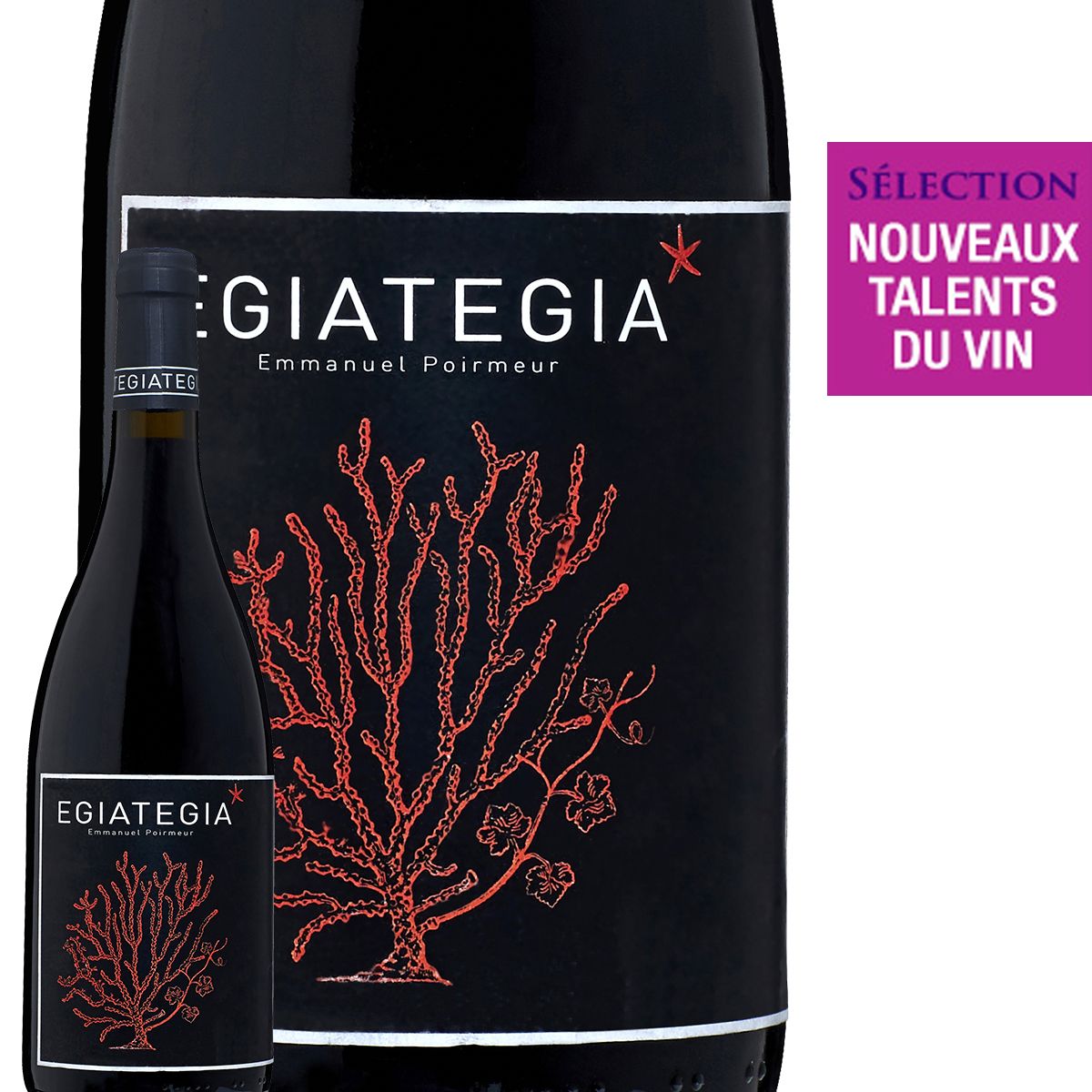Egiategia Altitude -15M Vin d'Espagne