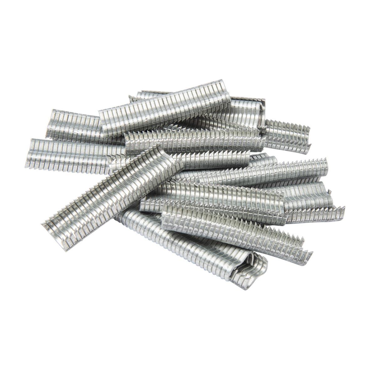 WERKAPRO Agrafes galvanisés  600pcs  Werka Pro