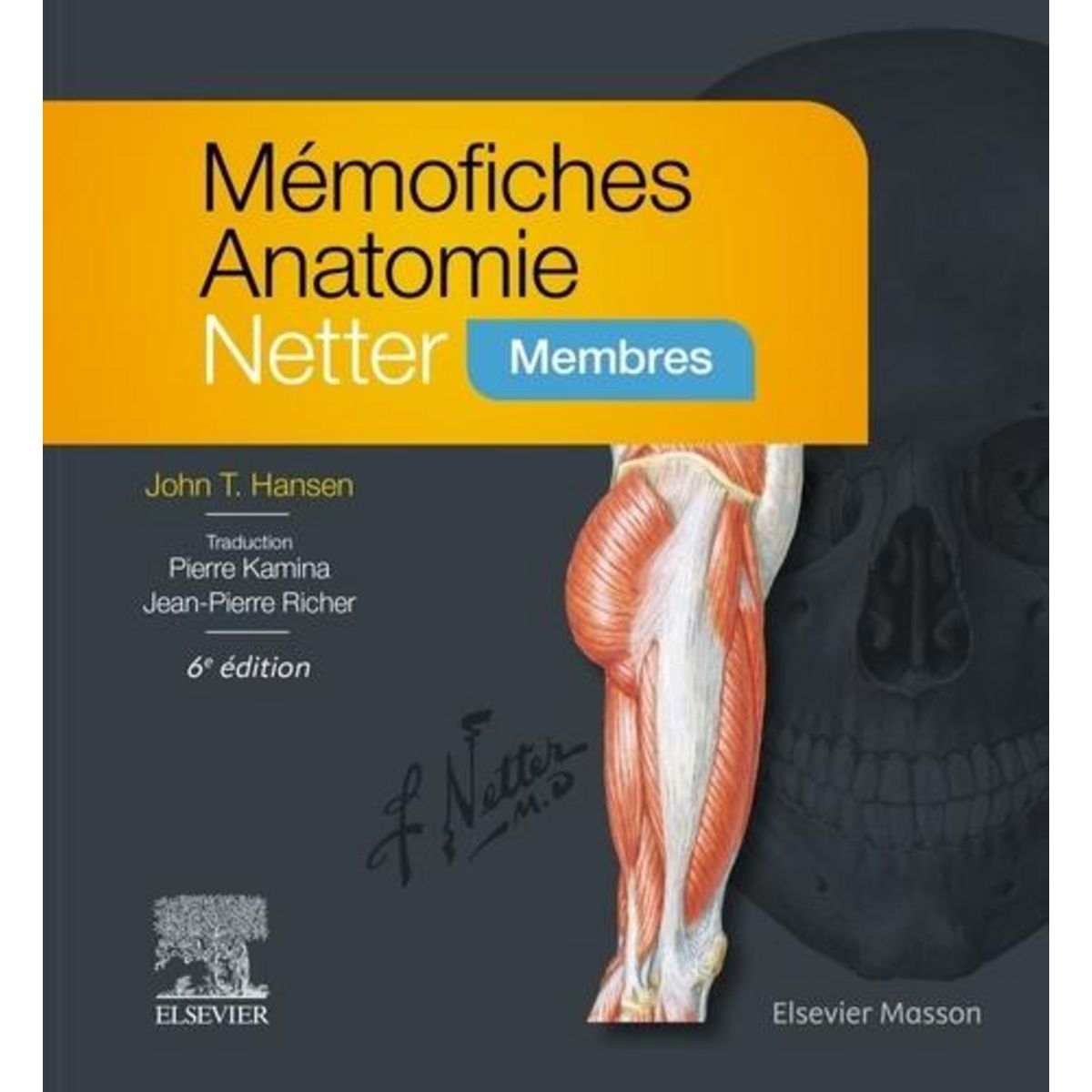 MEMOFICHES ANATOMIE NETTER. MEMBRES, 6E EDITION, Hansen John T.