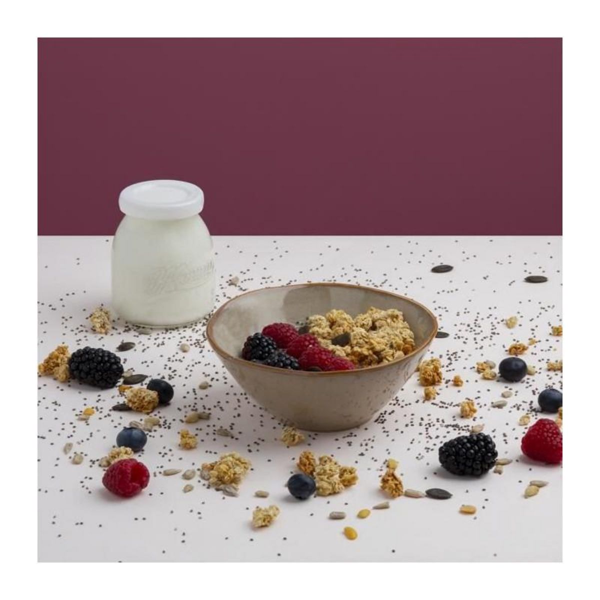 HKOENIG Yaourtiere 12 pots HKoeNIG