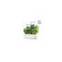 Voir la diapositive 1 : VERITABLE Jardin d'intérieur Smart Arctic White