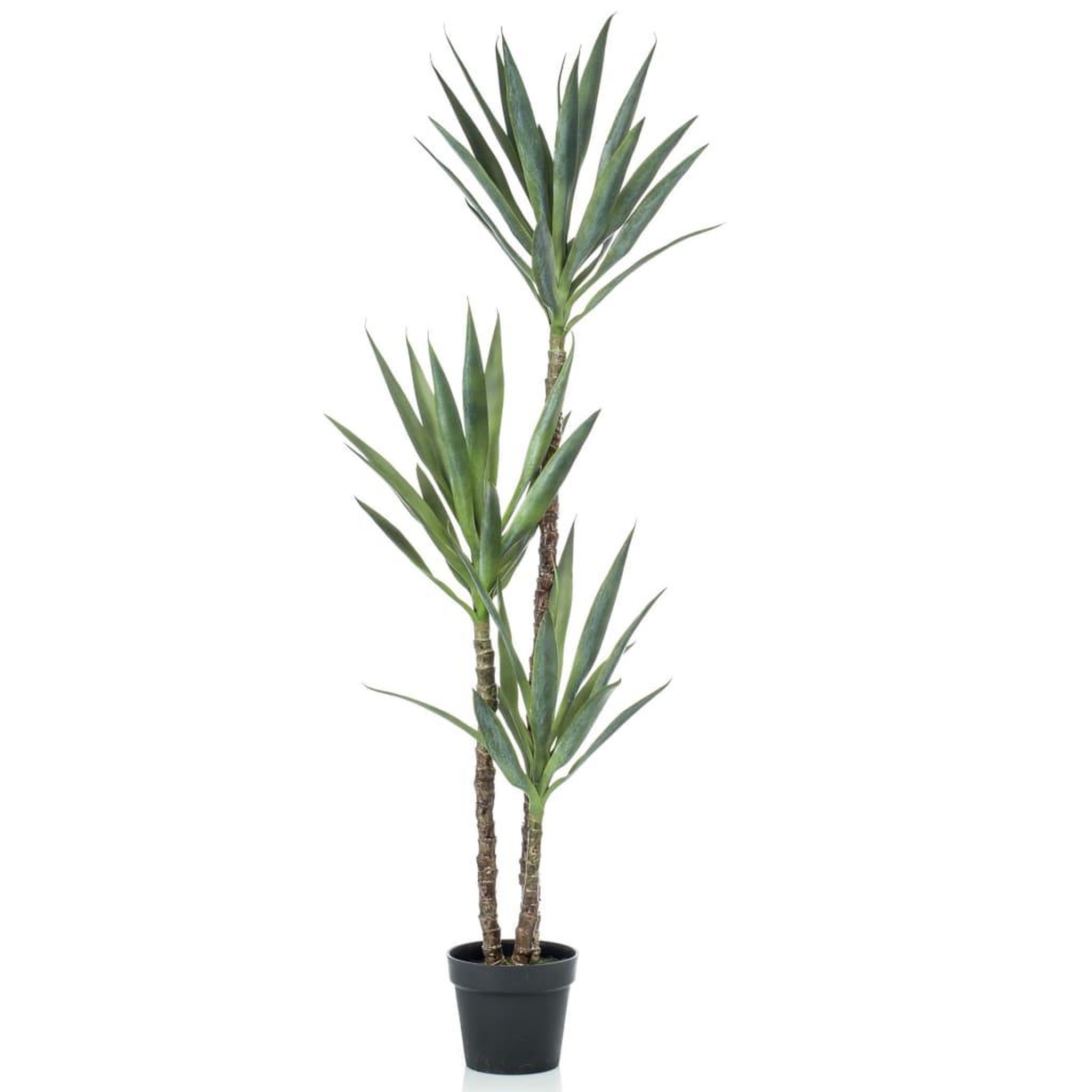 Voir la diapositive 1 : EMERALD Emerald Yucca artificiel 150 cm en pot