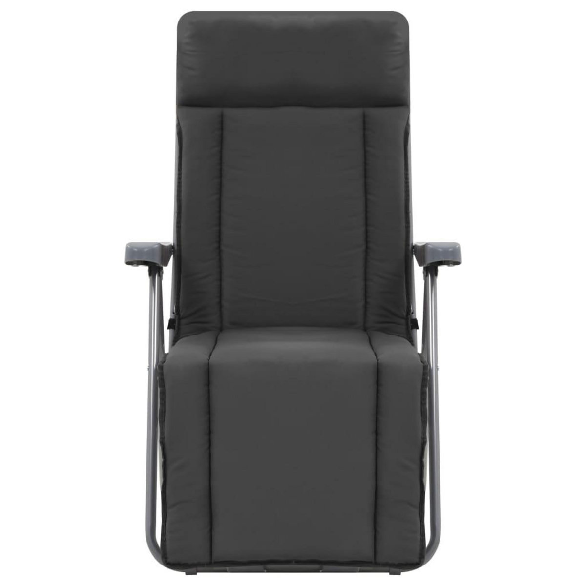 VIDAXL Chaises pliables de jardin avec coussins lot de 2 Gris