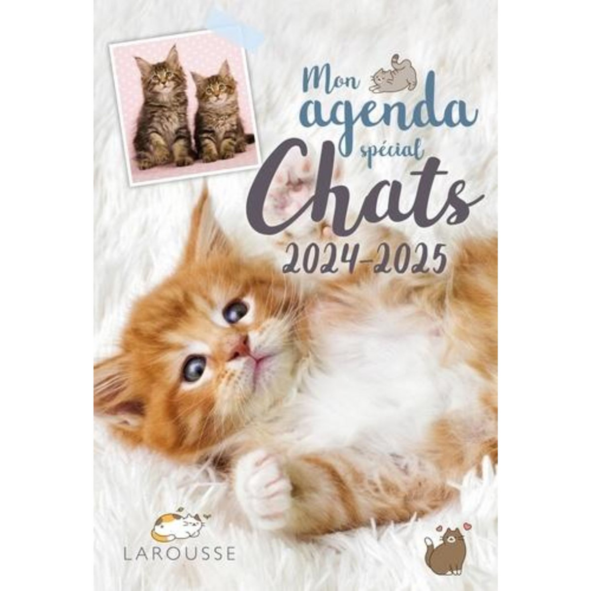 AGENDA SCOLAIRE CHATS. EDITION 2024-2025, Larousse