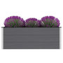 Voir la diapositive 2 : VIDAXL Lit sureleve de jardin WPC 150x50x54 cm Gris