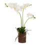 Voir la diapositive 1 : Paris Prix Fleur Artificielle Déco  Orchidée en Terre  54cm Blanc