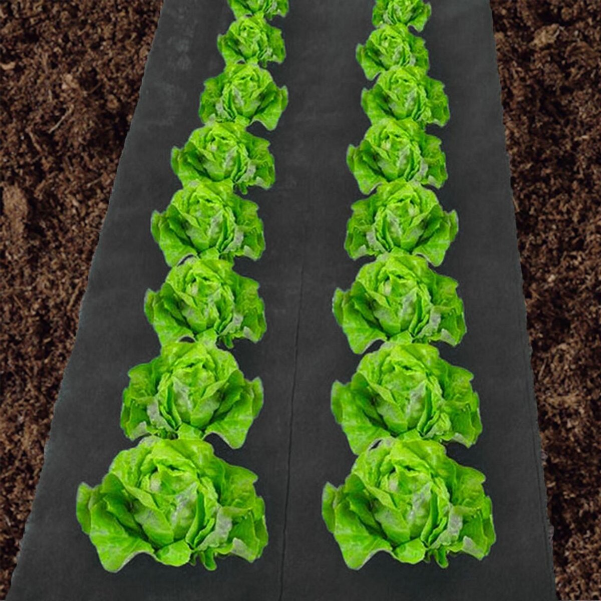 ID MARKET Feutre toile de paillage 1M x 30M noir