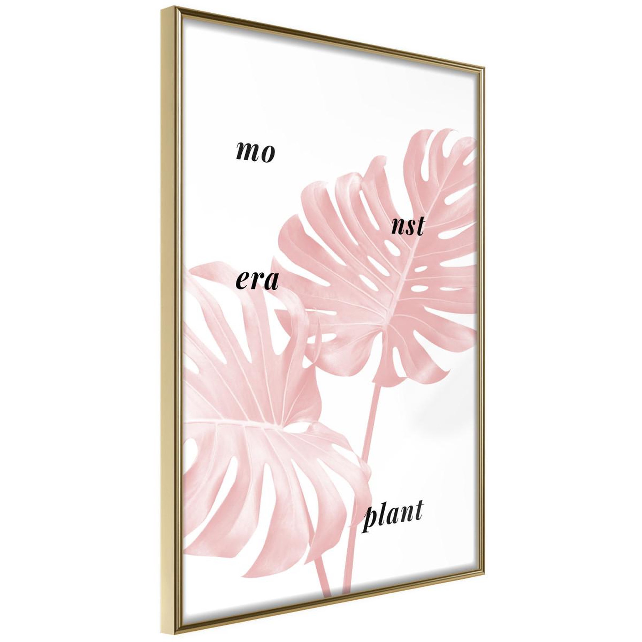 Paris Prix Affiche Murale Encadrée  Pale Pink Monstera