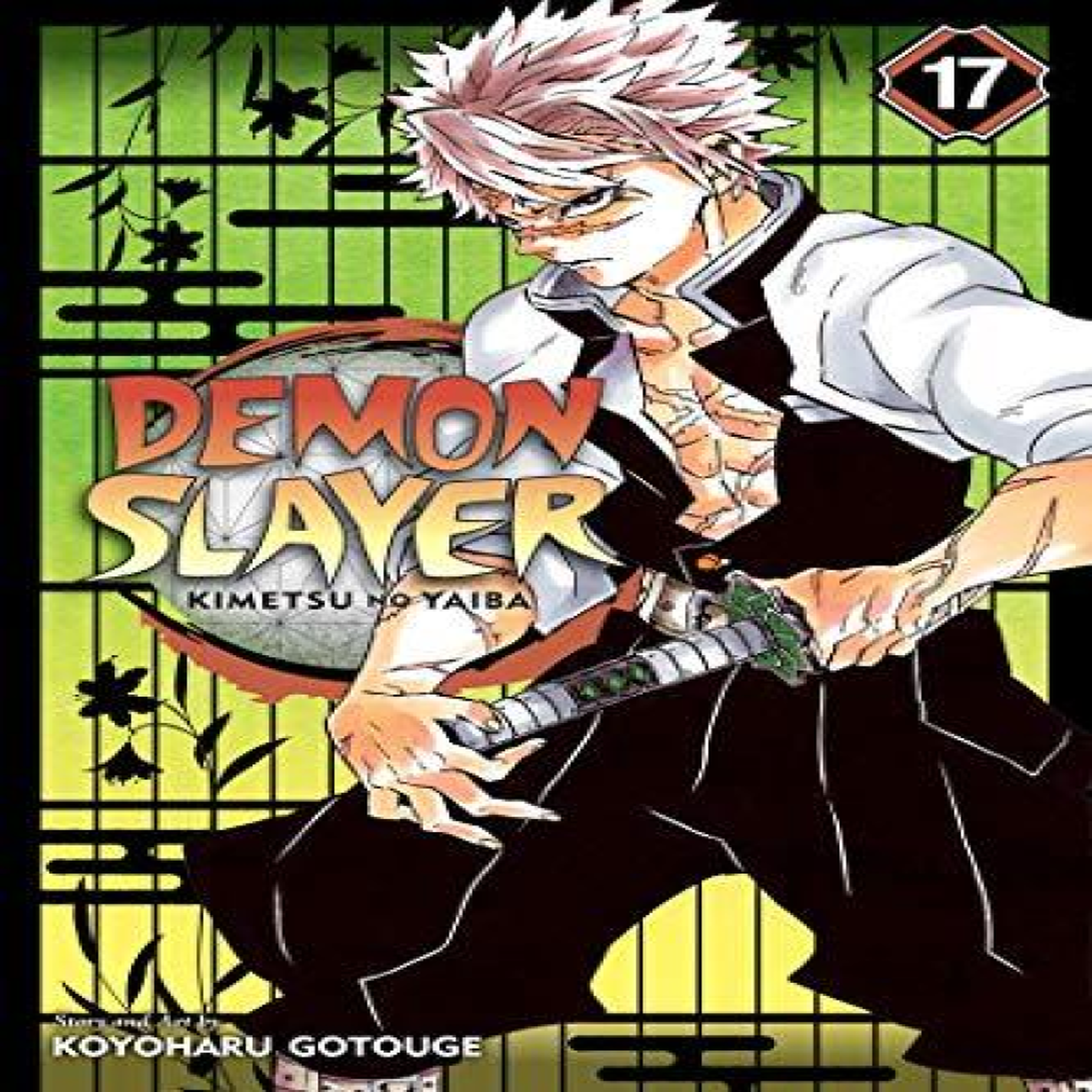 LIVRES Demon Slayer: Kimetsu no Yaiba, Vol. 17