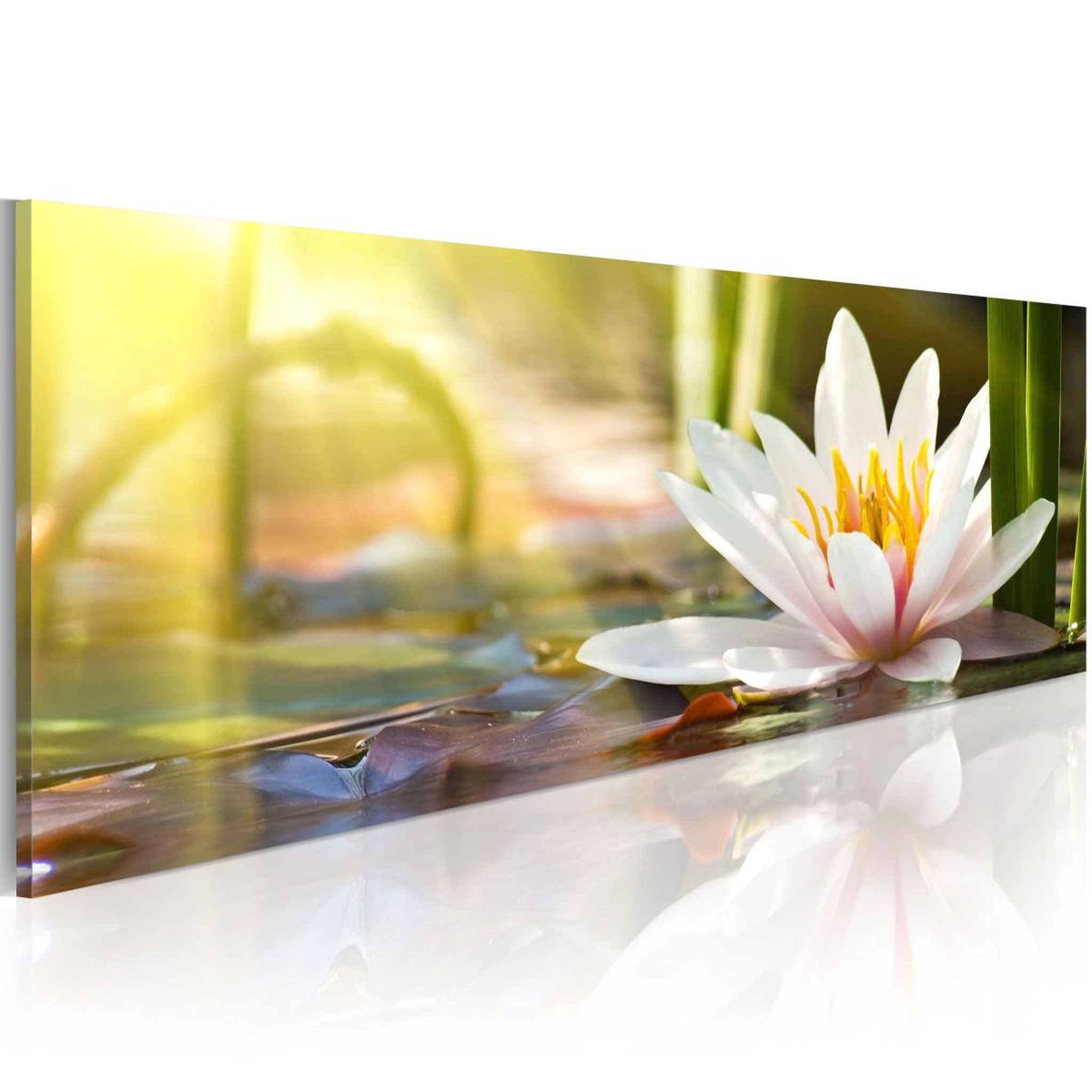 Paris Prix Tableau imprimé  lotus' glow. Coloris disponibles : Multicolore