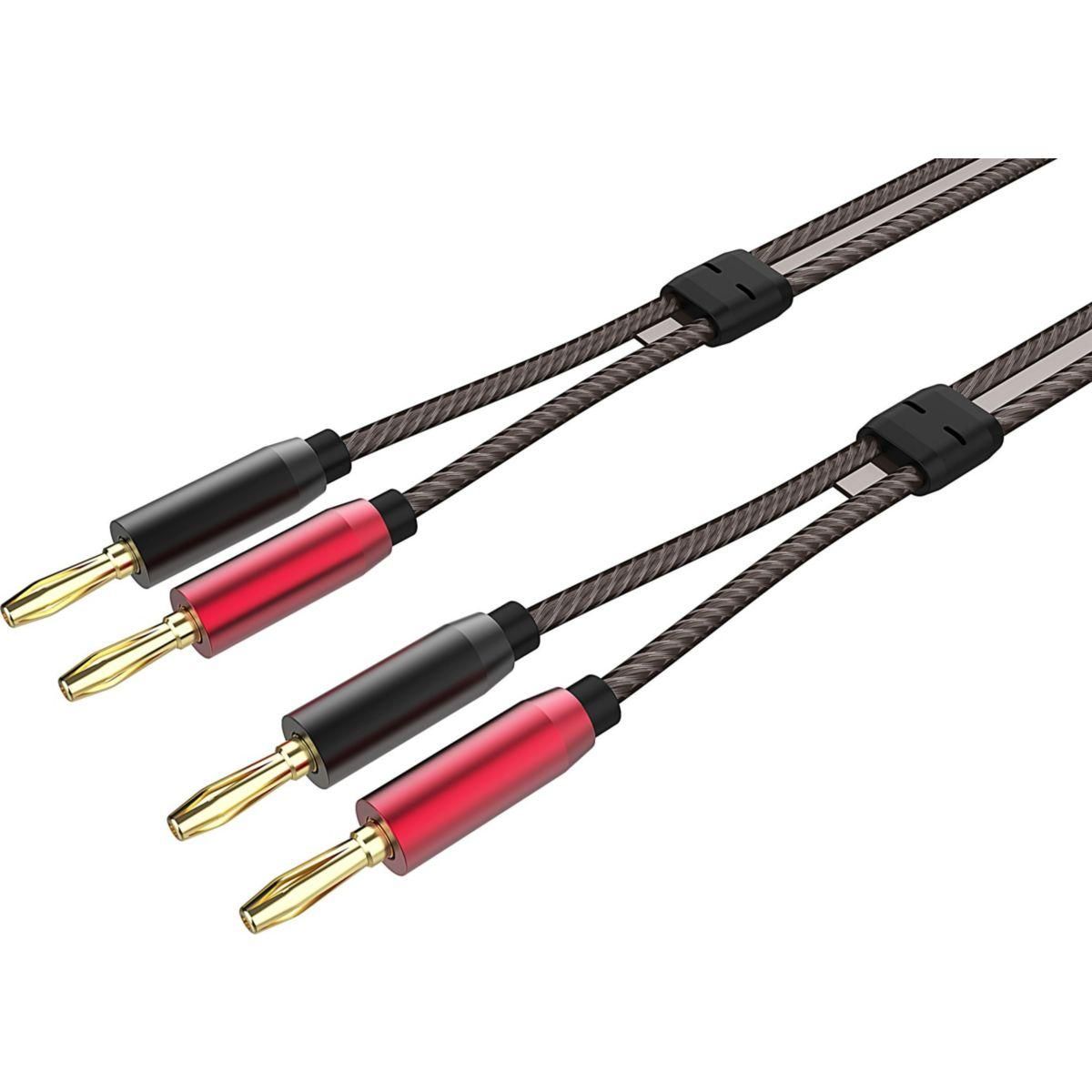 ADEQWAT Câble enceinte HP pré-montés 2x3M