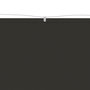 Voir la diapositive 3 : VIDAXL Auvent vertical Anthracite 180x600 cm Tissu oxford