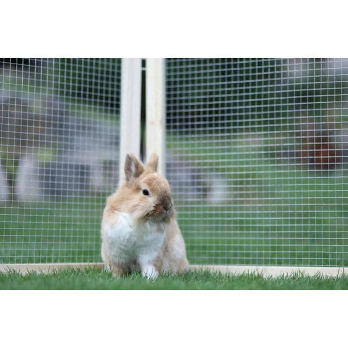 KERBL Kerbl Enclos exterieur pour animaux de compagnie Vario Bois 84399