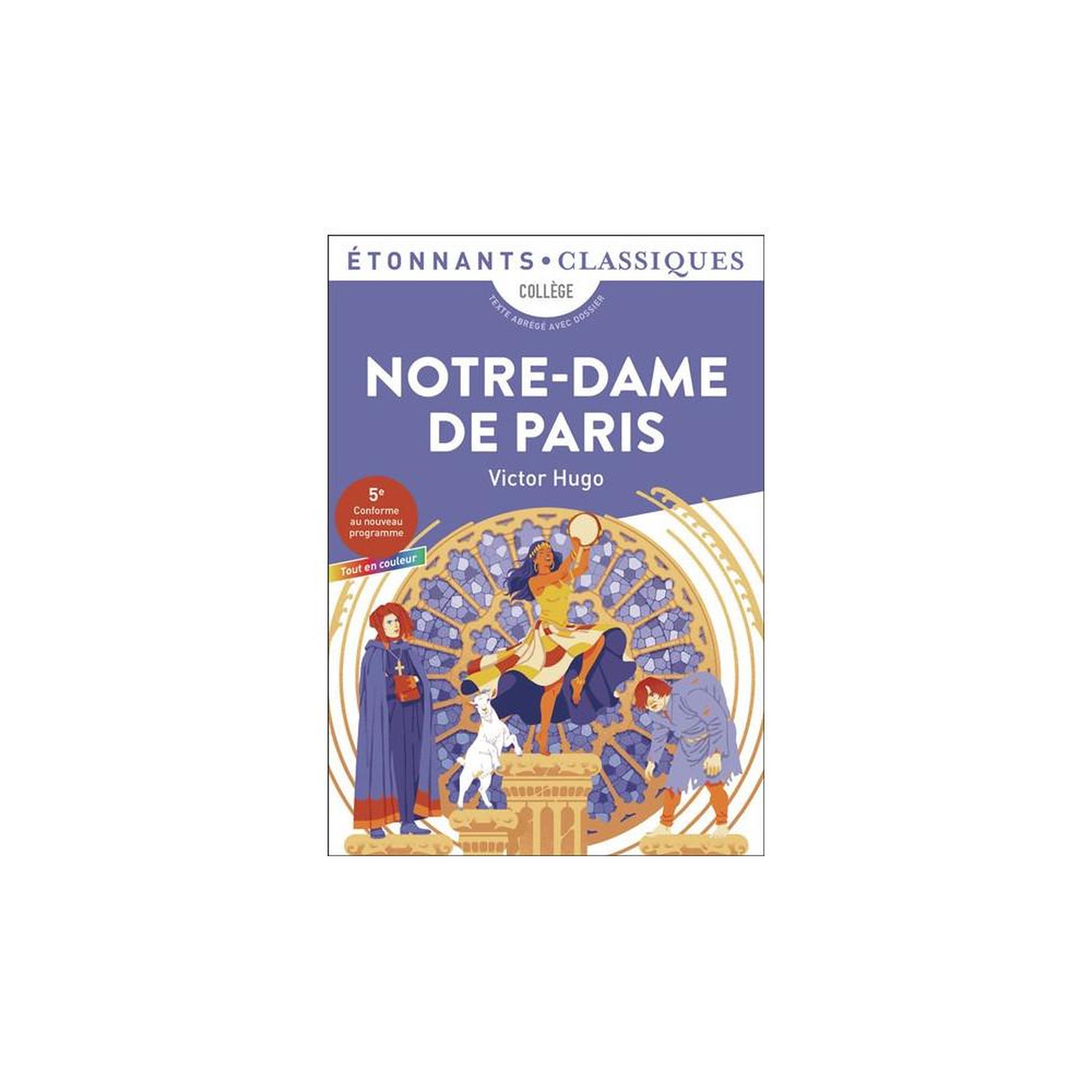 FLAMMARION Notre-Dame de Paris (poche) Victor Hugo, édition Etonnants classiques pour Collège 5ème