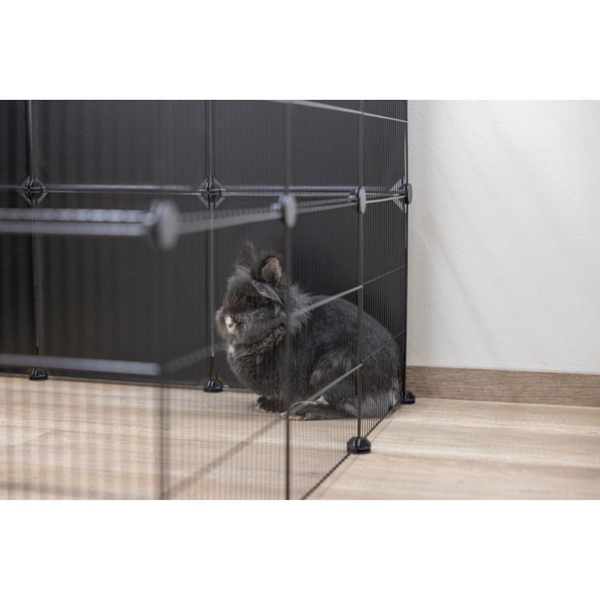 KERBL Enclos - KERBL - Hopsi - Usage intérieur/extérieur