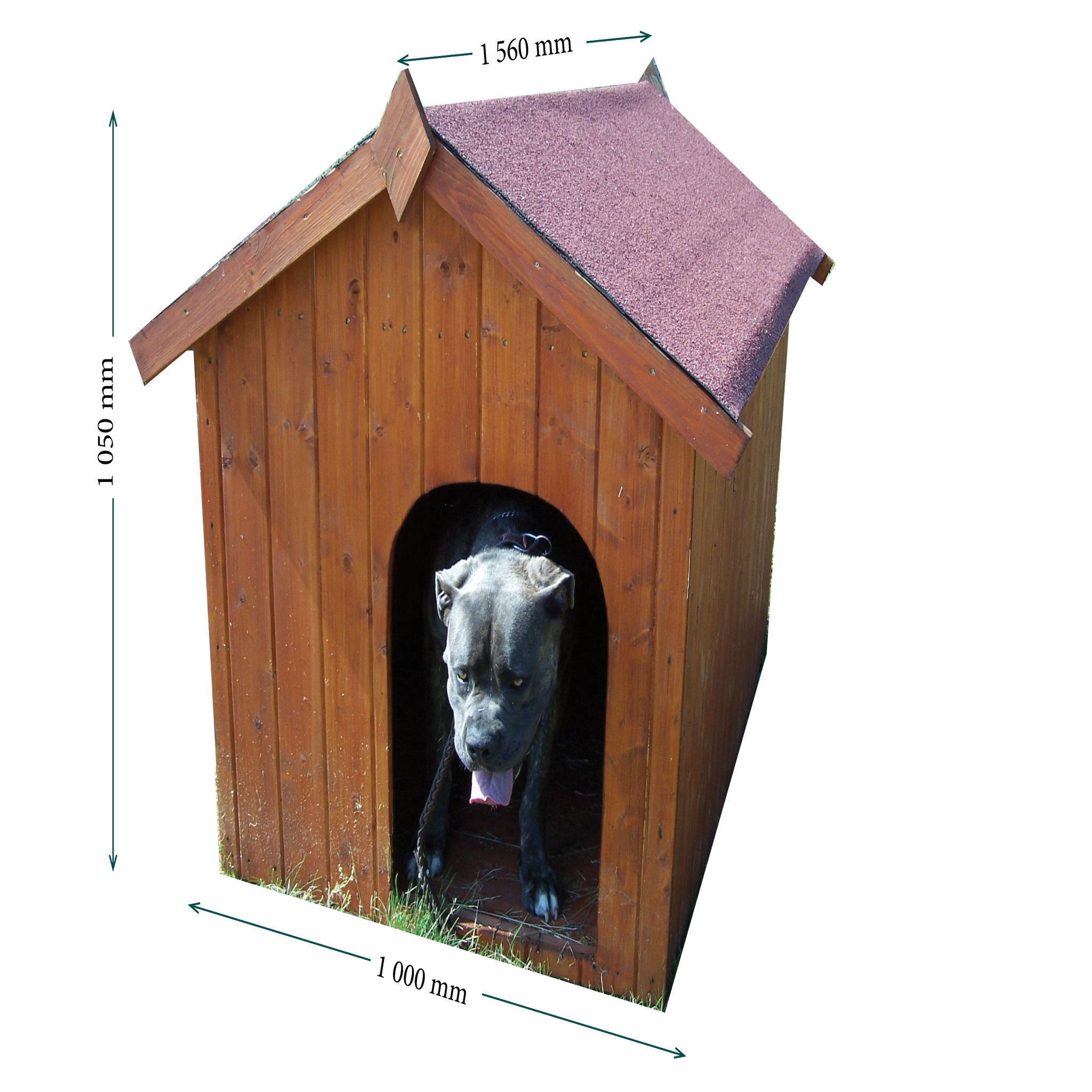 Voir la diapositive 3 : Niche pour gros chiens Farven