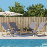 VIDAXL Serviettes de plage 4 pcs anthracite 60x135 cm tissu 400 GSM