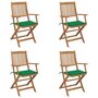 VIDAXL Chaises pliables de jardin 4 pcs avec coussins Bois d'acacia
