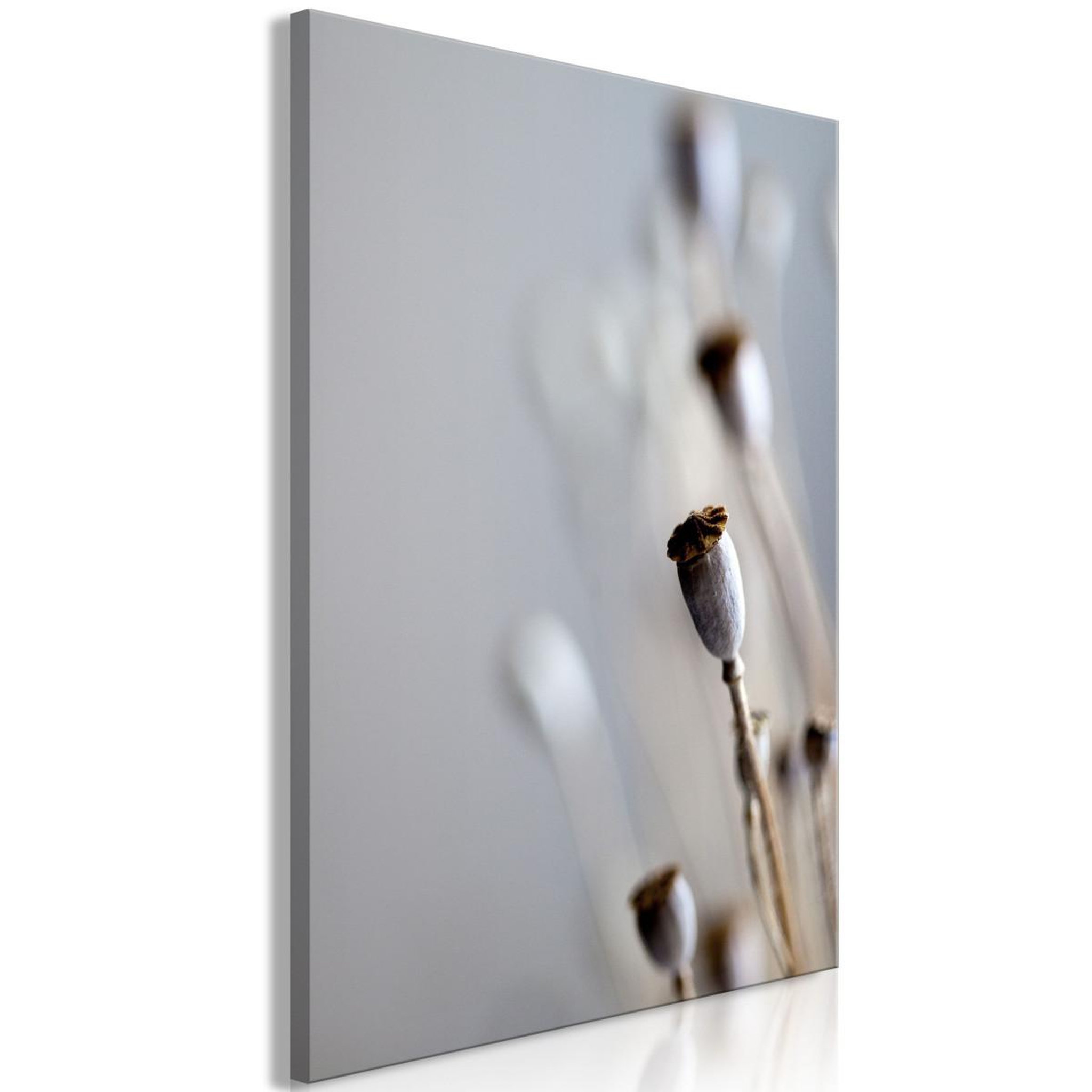 Paris Prix Tableau imprimé  dried poppies. Coloris disponibles : Multicolore